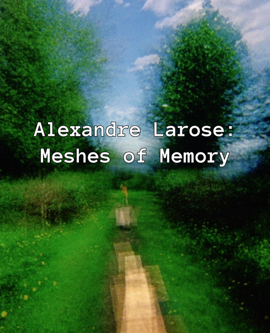 ALEXANDRE LAROSE: MESHES OF MEMORY