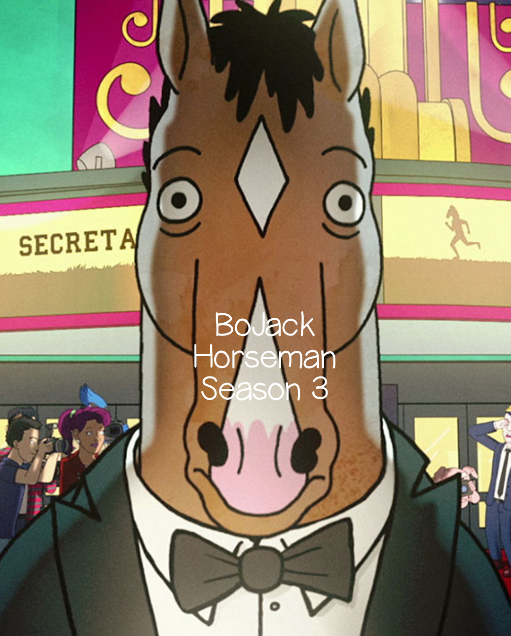 BOJACK HORSEMAN: THE COMPLETE SERIES