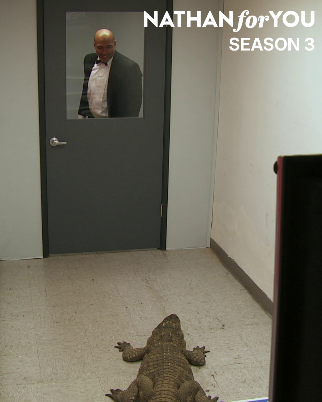 NATHAN FOR YOU